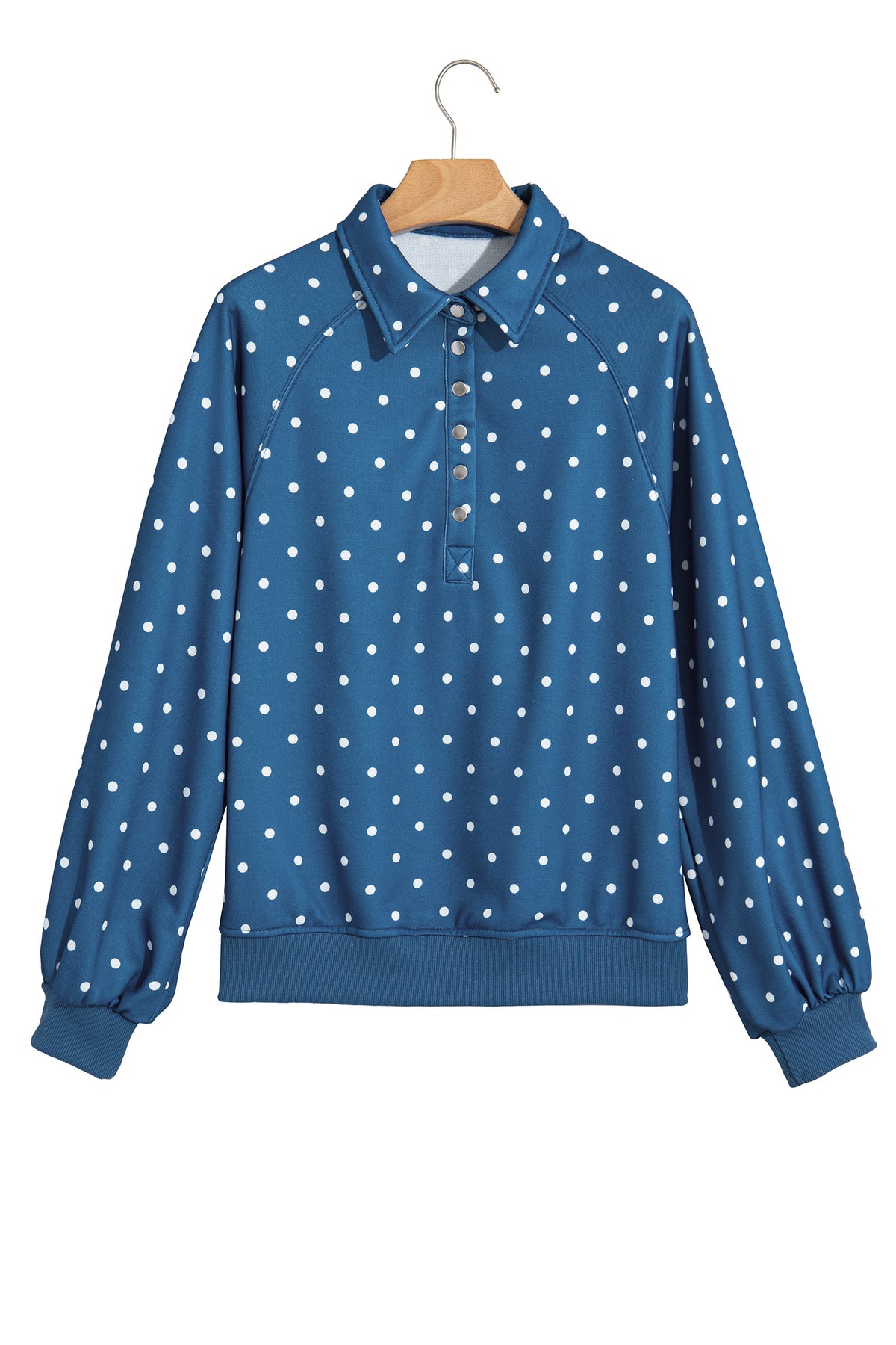 Polka Dot Print Metal Button Collar Casual Pullover Sweatshirt
