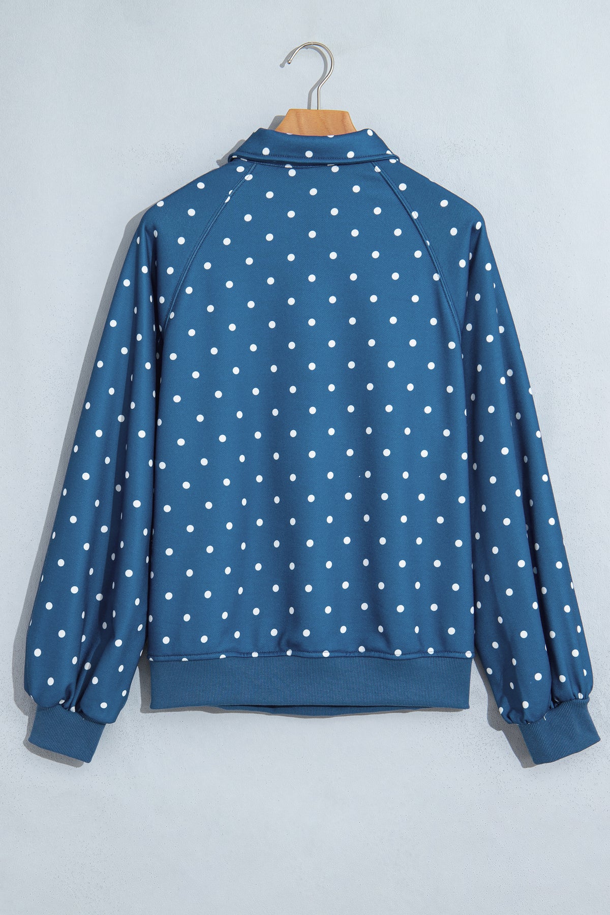 Polka Dot Print Metal Button Collar Casual Pullover Sweatshirt