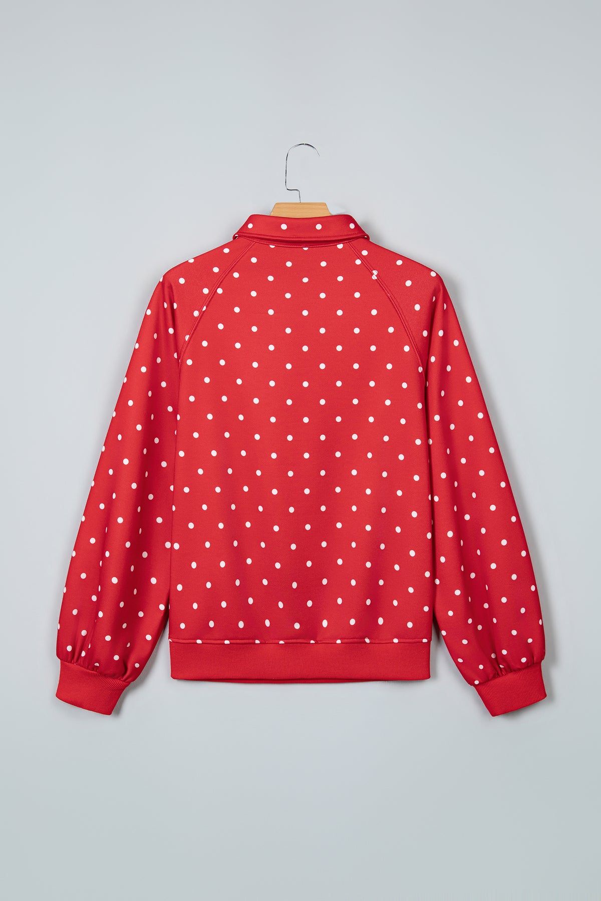 Polka Dot Print Metal Button Collar Casual Pullover Sweatshirt