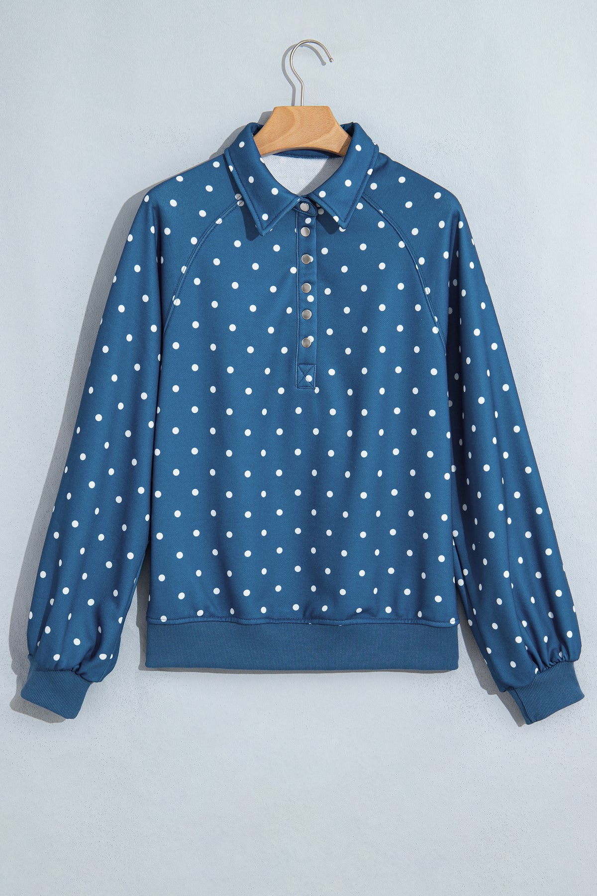 Polka Dot Print Metal Button Collar Casual Pullover Sweatshirt